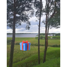 Daivos Kelionės organizavimo paslauga