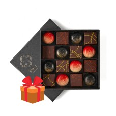 Mildos J. Šokoladinių saldainių rinkinys MAGNETIC 192 g.