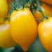 Citrina