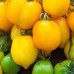 Citrina